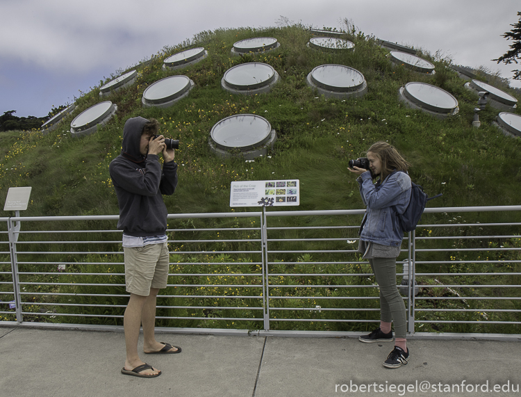 California Academy of Science 2019